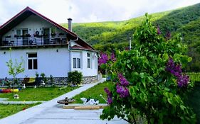 Vila Di Pau (Adults Only)